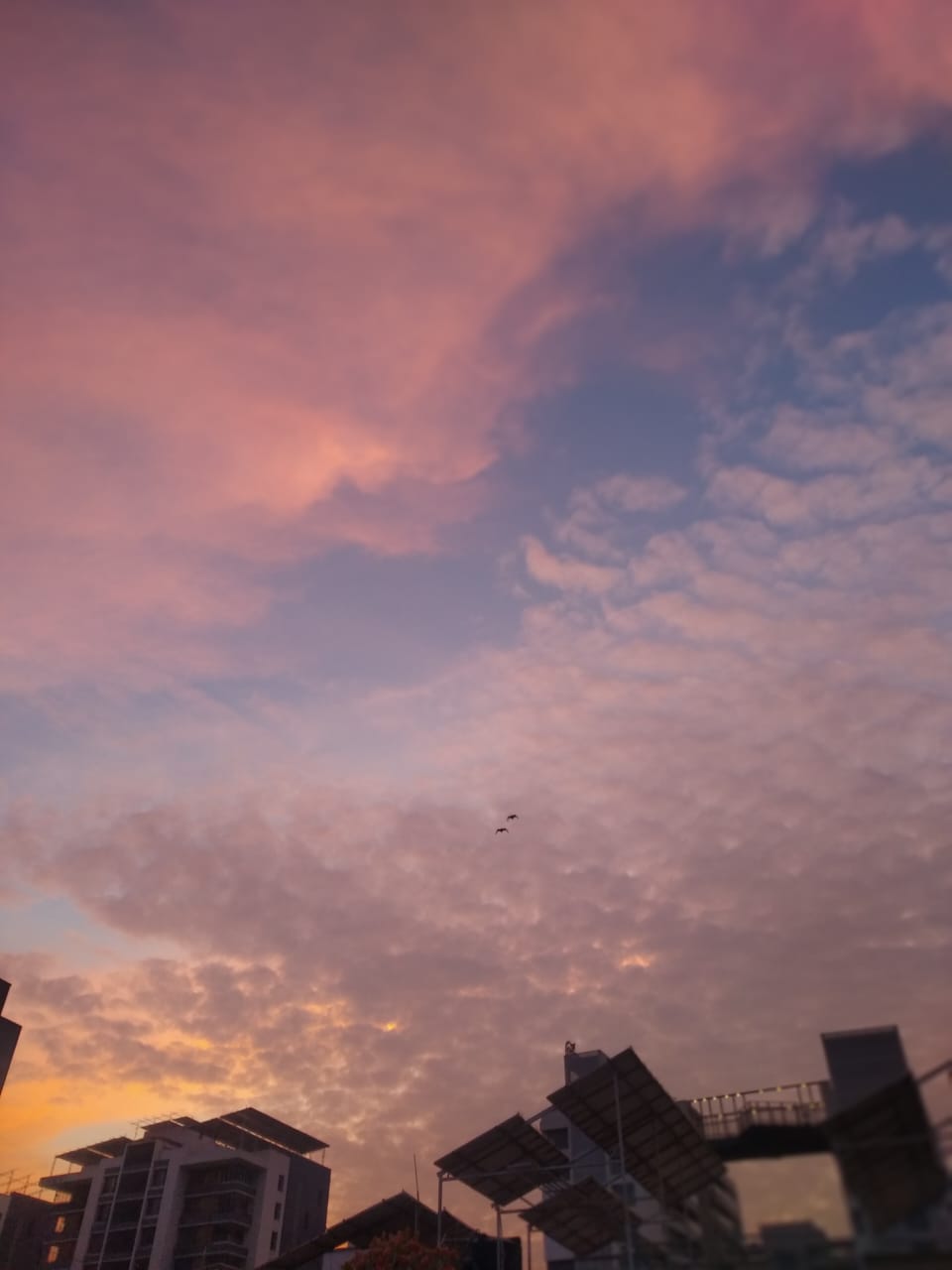 Beautiful Sky